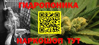 дурь Гатчина