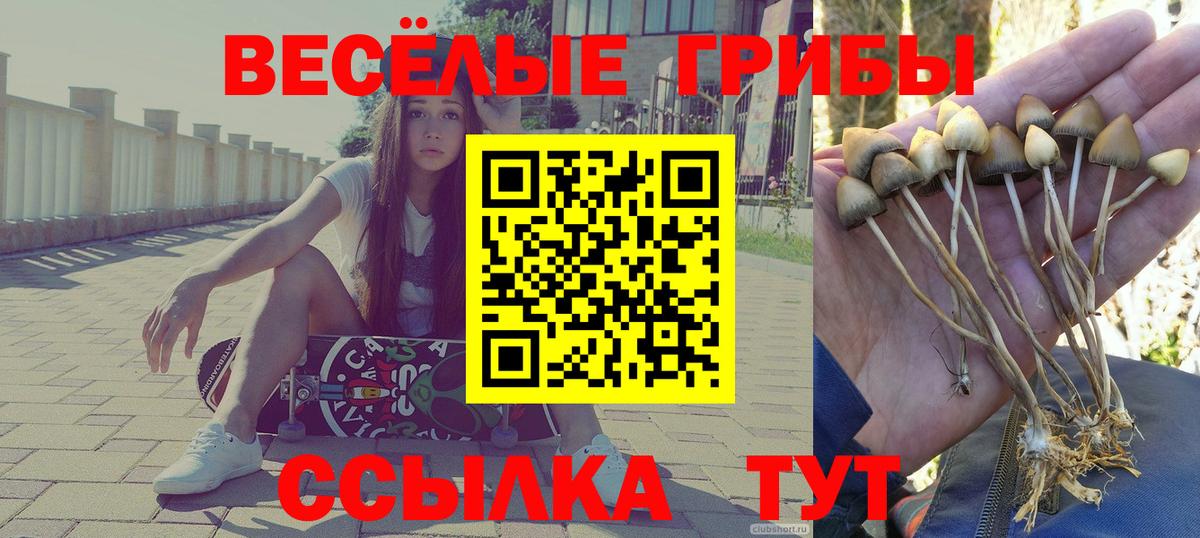 Галлюциногенные грибы GOLDEN TEACHER Нижневартовск